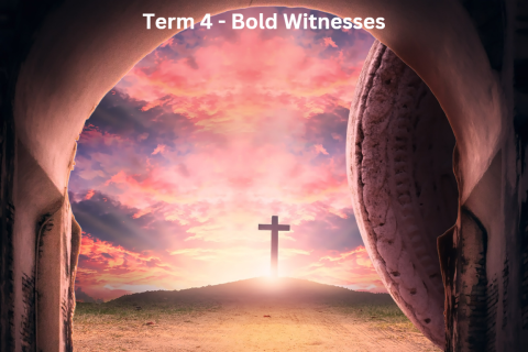 Term 4 – Bold Witnesses Term 4 – Bold Witnesses